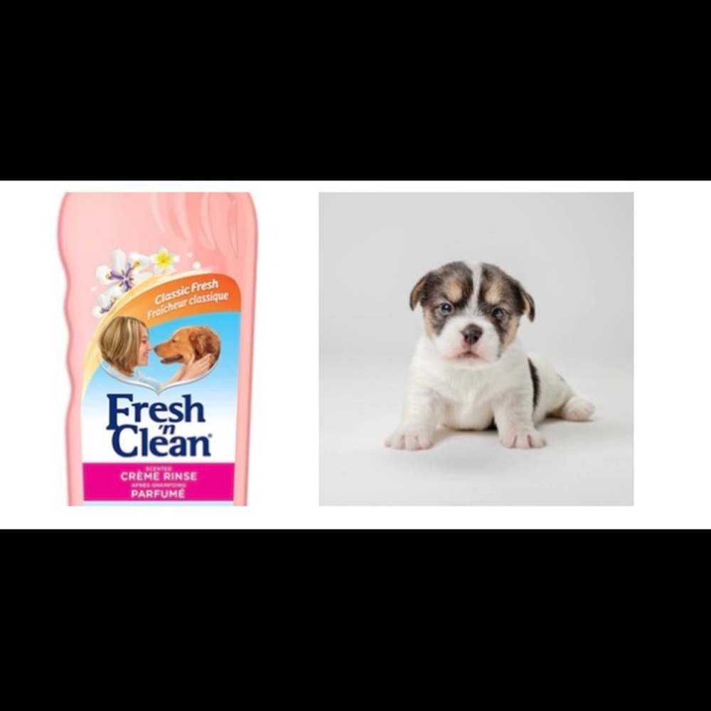 PetAg Fresh 'n Clean Scented Creme Dog Rinse Conditioner - 18 fl oz NEW!